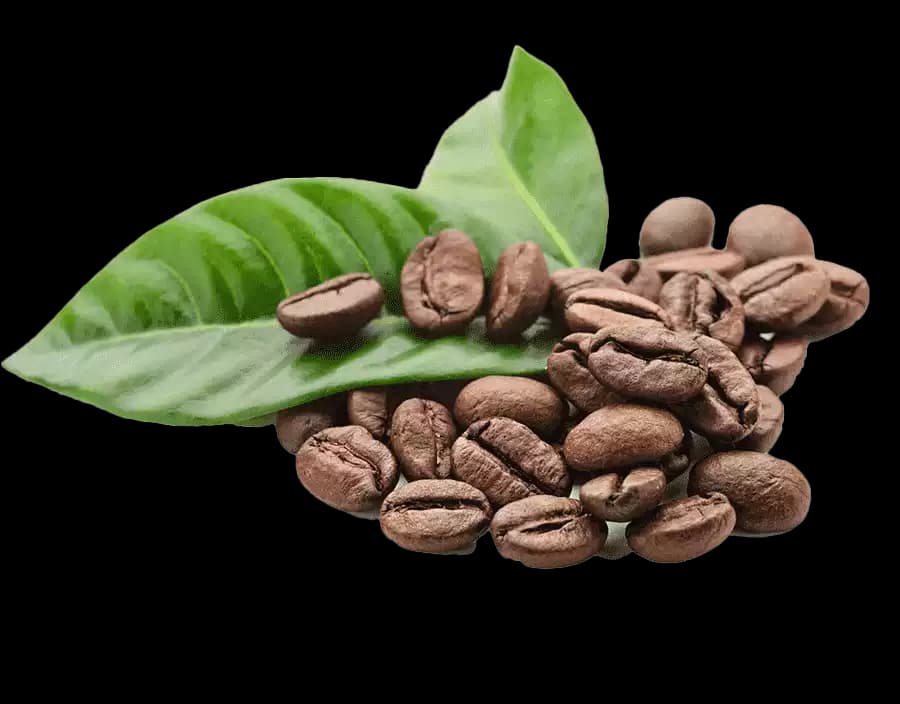 Caffè alternate view